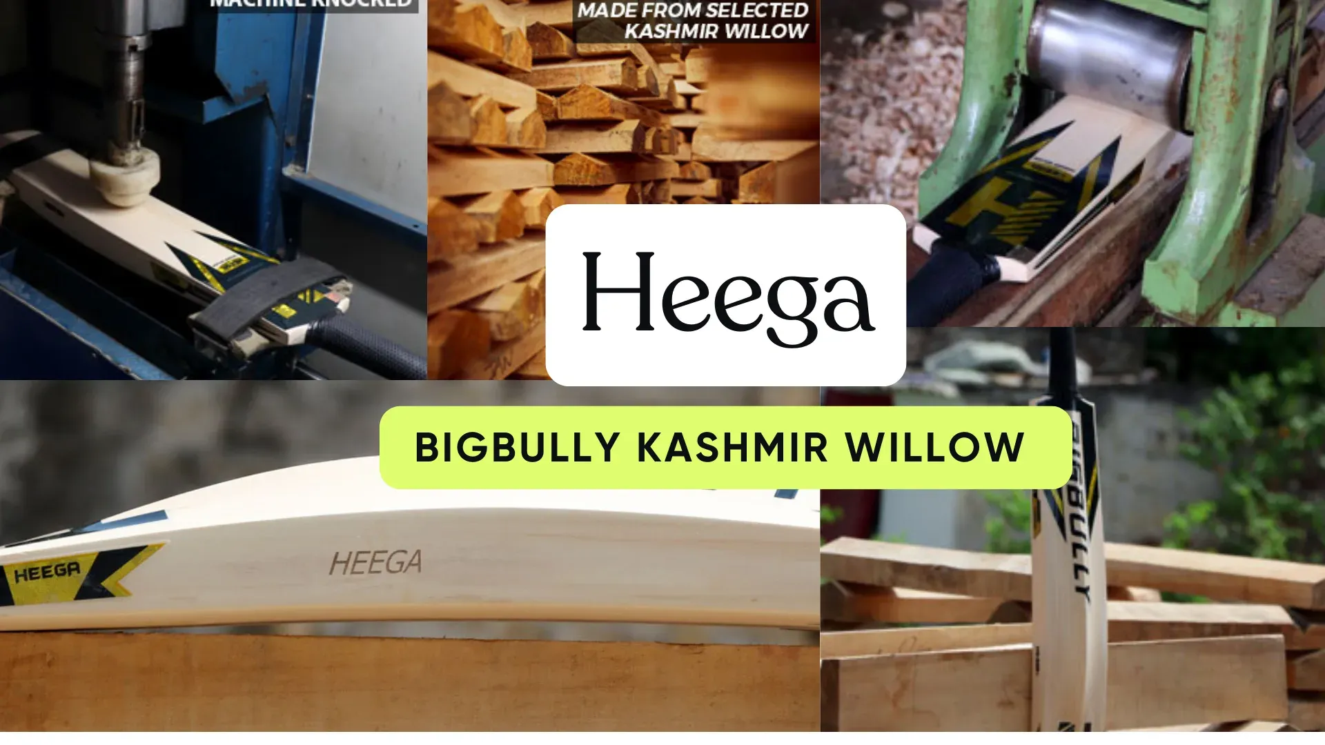 Bigbully Kashmir Willow