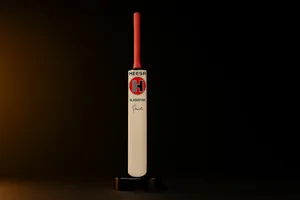 Gladiator Power Kashmir Willow Cricket Bat