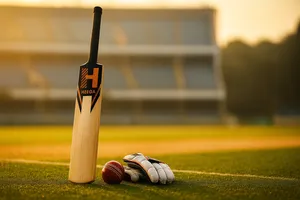 Heega Bigbully Kashmir Willow Cricket Bat