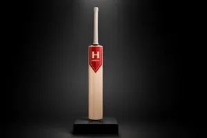 Heega Boomer Kashmir Willow Bat