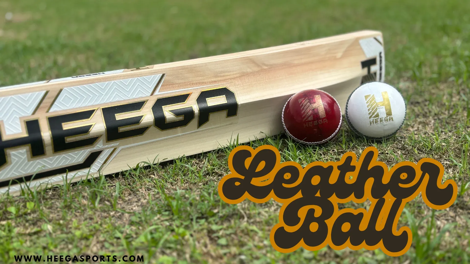 Heega Cricket Leather ball
