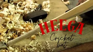 Heega Cricket bat