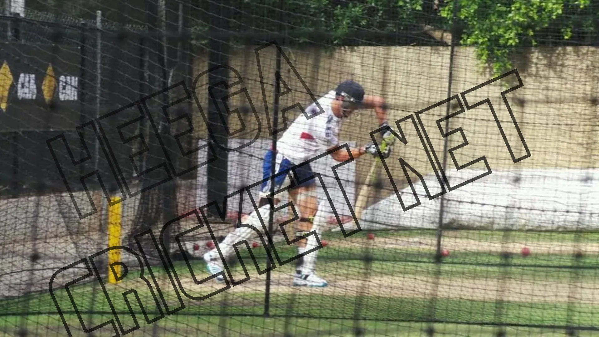 Heega Cricket net