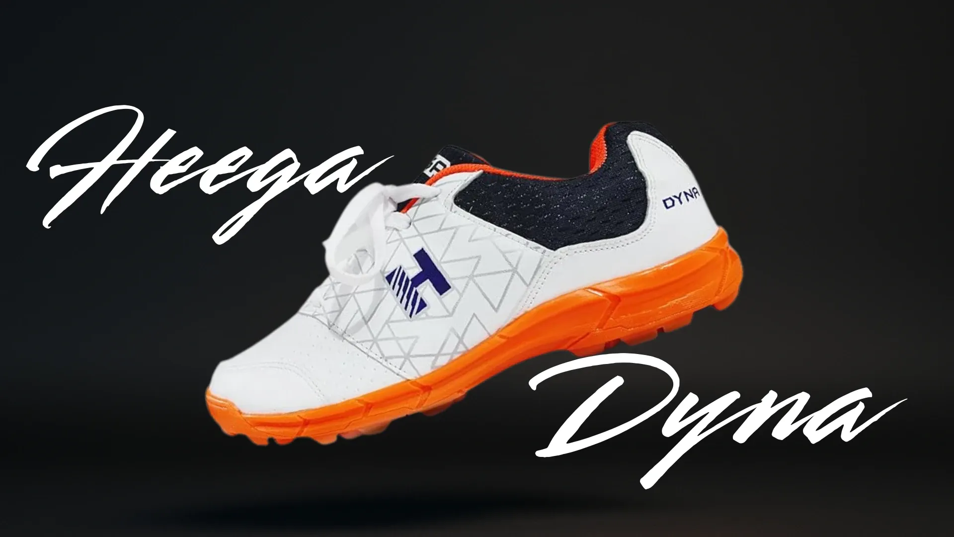 Heega Dyna (2)