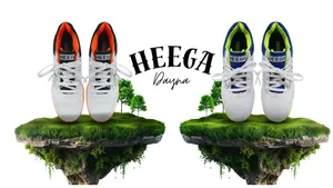 Heega Dyna