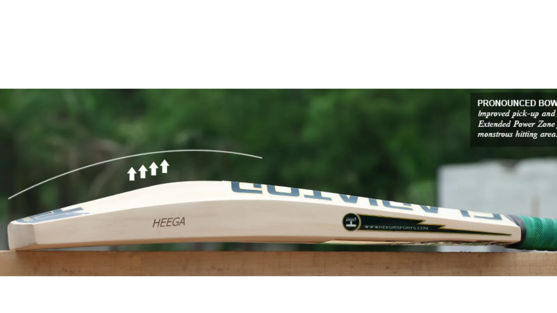 Heega Gladiator Xtreme Kashmir Willow Cricket Bat