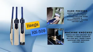 Heega HX - 509