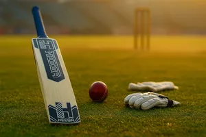 Heega HX-509 Kashmir Willow Cricket Bat