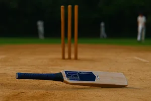 Heega HX-509 Mongoose Kashmir Willow Cricket Bat