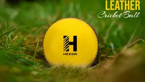 Heega LEATHER Ball (2)