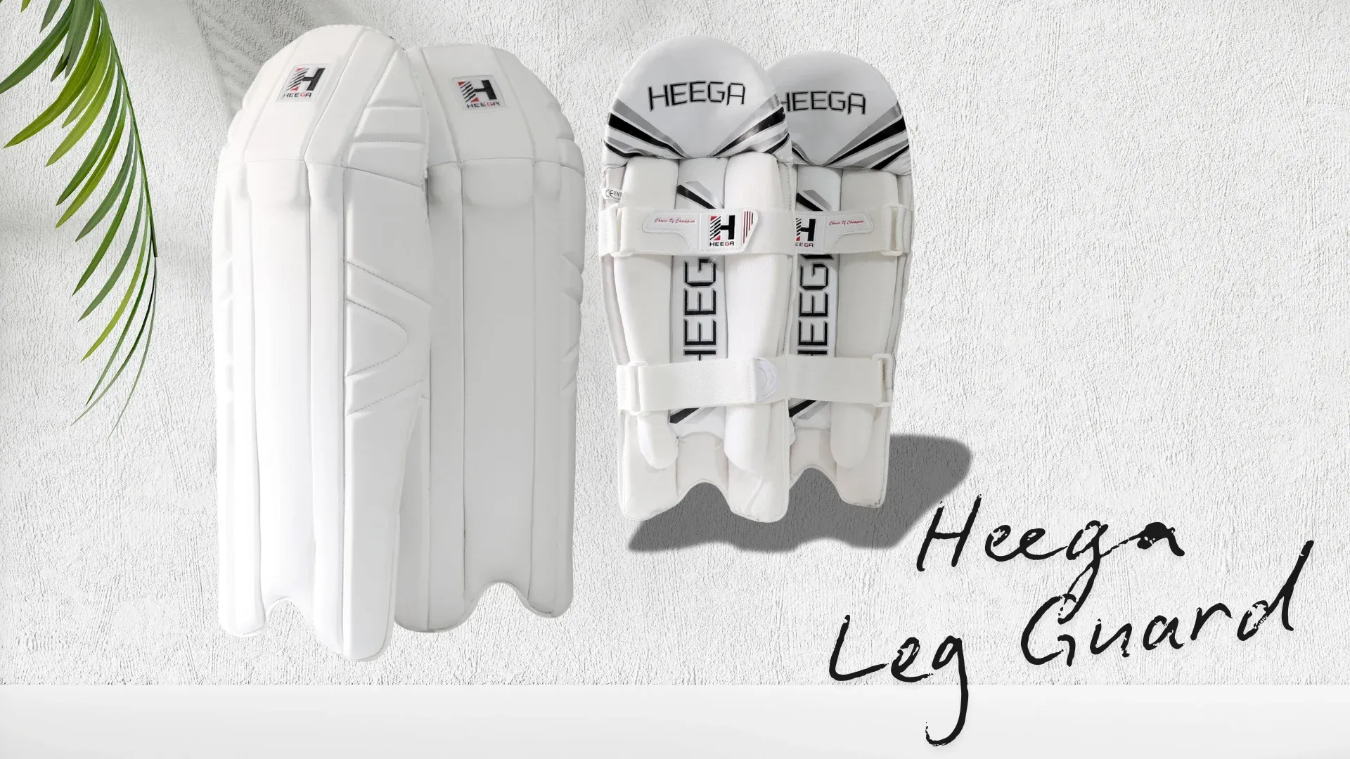Cricket Safety Essentials: Why Leg Guards Are Non-Negotiable | Heega Sports