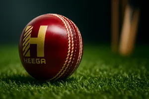 Heega Leather ball