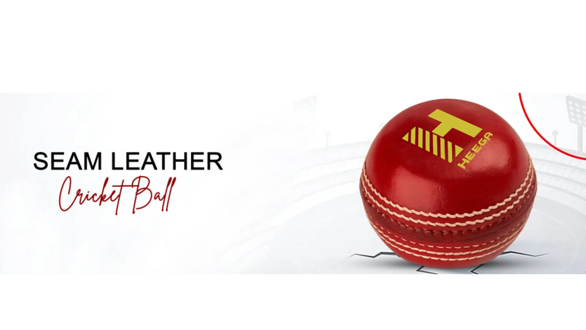 Heega Pace Coaching Red Seam Leather Cricket Ball
