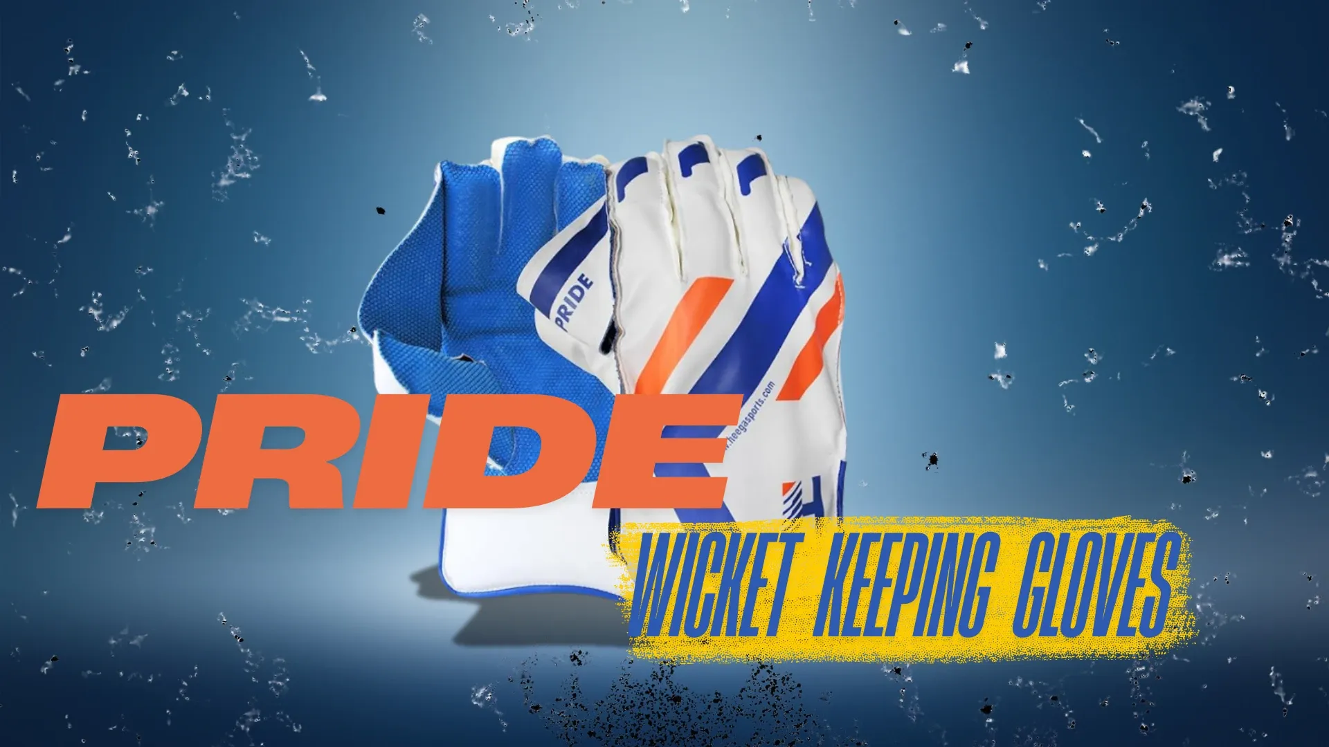 Heega Pride Wicket Keeping Gloves