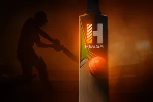 Heega Strokes Attack Kashmir Willow