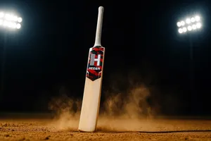Heega TORNADO English Willow Cricket Bat