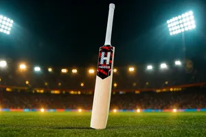 Heega TORNADO English Willow Cricket Bat