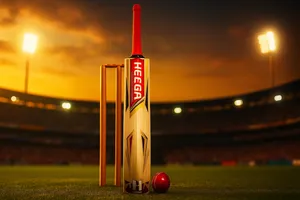 Heega Warrior English Willow Cricket Bat