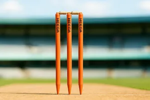 Heega Wooden Cricket Stumps