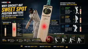 Heega-Cricket Bat Sweet Spot Infographic.