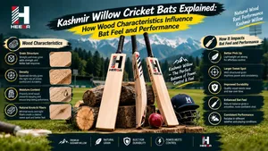 Kashmir Willow Cricket Bats Explained: How Wood Characteristics Influence Bat Feel and Performance