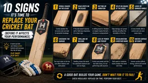 Heega-Know the signs of a worn cricket bat.