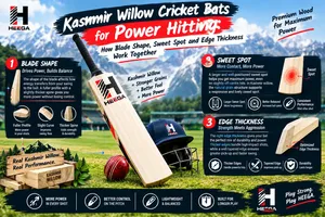 Kashmir Willow Cricket Bats for Power Hitting