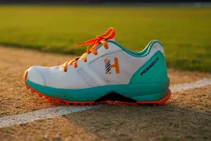 Pegasus Cricket Shoes.webp